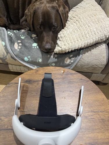 Bobo head strap - bobo, meta